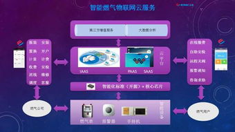 黑龍江省國(guó)家密碼管理局 筑牢網(wǎng)絡(luò)安全防線(xiàn)，引領(lǐng)信息安全軟件開(kāi)發(fā)新篇章